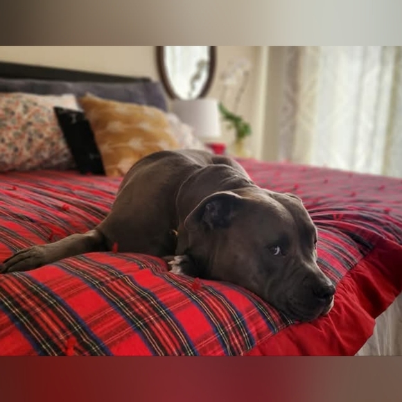 Like This Post To Be Notified When I Go Live - Picture 6 of 16